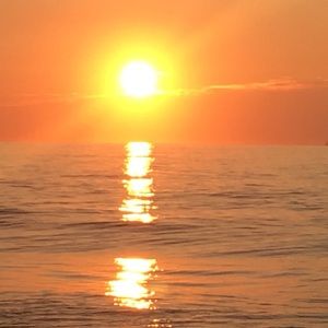 Meet your Posher, Jim